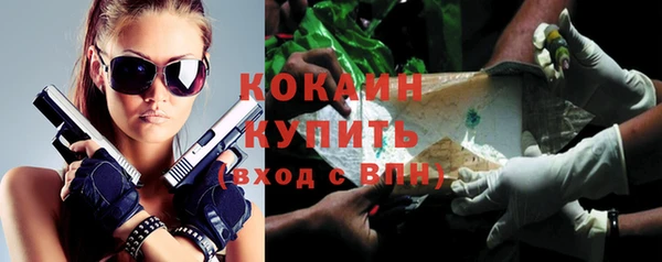 твердый Козельск