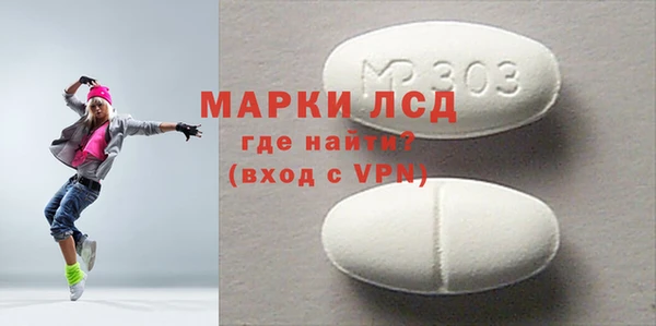 трава Коряжма
