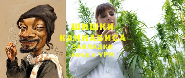 трава Коряжма