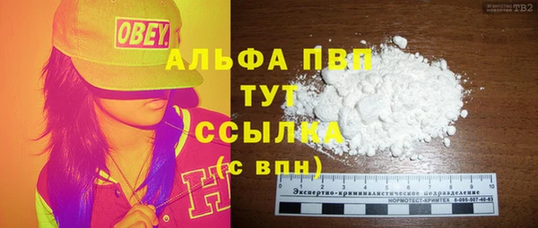 трава Коряжма