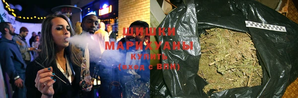трава Коряжма