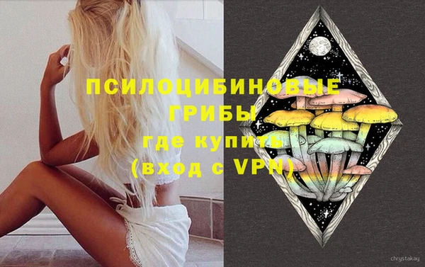 трава Коряжма